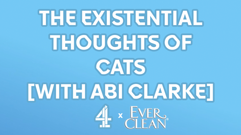 Ever Clean: The Existential Thoughts of Cats [With Abi Clarke]